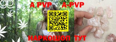 ешки Кингисепп