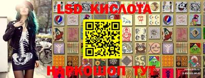 ешки Кингисепп
