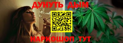 индика Кинель