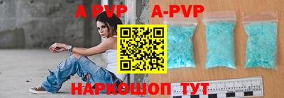 ешки Кингисепп