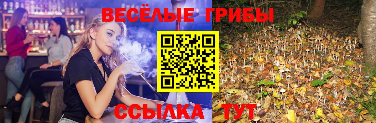 Псилоцибиновые грибы GOLDEN TEACHER  Вход с VPN  Шадринск 